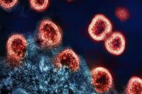 When Community-Led HIV Infrastructure Disappears