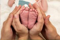 New Birthright Citizenship Executive Orders