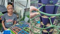 Virginia gardener says first frost, not the calendar, decides what can still grow