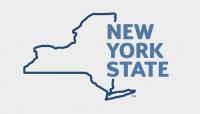 Users Report Problems With New York State's Official Website as Monitors Show Site Mostly Operational