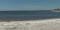 MEDICAL MONDAY: Doctors urge awareness of flesh-eating bacteria as Gulf water temperatures remain warm