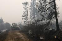 Rain Helps Contain Belgium’s Largest Recorded Wildfire, Halting Spread Toward Germany