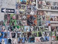 Pet mural makes a comeback in downtown Idaho Falls