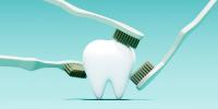 Scientists Just Found a Way to Regrow Your Tooth Enamel—And It Could Be Available Next Year
