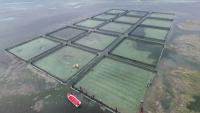 10 additional zones designated for mariculture industry