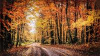 Farmers’ Almanac Predicts A Dramatic Fall For Minnesota