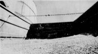 Looking Back: 69-year-old man mauled by grizzly bear; church robbed during the night
