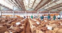 Malawi produces 155m kg tobacco