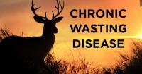 Emergency deer hunting regulations announced in Delaware in response to chronic wasting disease