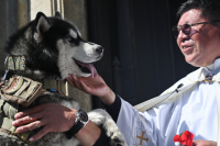 Blessings for pups as Bolivia marks patron saint of dogs