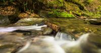 New Data Measures Bacteria in Pennsylvania Waterways | WDIY Local News