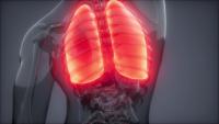 American Lung Association Offers Pennsylvania Researchers Grants for Lung Health Research