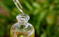 Federal judge denies attempt to block new Virginia hemp law
