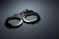 Op-Ed | Weaponizing law enforcement: flocking and shock gloves