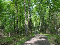 Nearly $1M conservation easement approved on 1.2K acres in northern Wisconsin