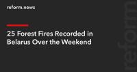 25 Forest Fires Recorded in Belarus Over the Weekend