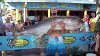 Florida fishing seasons open for amberjack and grouper