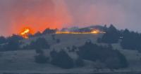 Application deadline approaches for Nebraska Cattlemen disaster relief