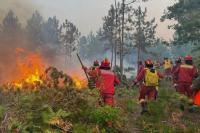 Albania Reports 12 Wildfires as Authorities Battle 7 Active Blazes