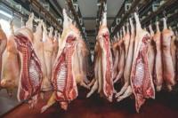 Pig Farmers, Processors Invited to Tap Business Opportunities at Yaounde Fair