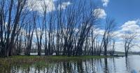 Army Corps of Engineers awards $6.3M contract to restore Upper Mississippi River habitat near New Albin, Iowa