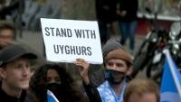 Azerbaijan courts Chinese firm flagged for Uyghur forced labor