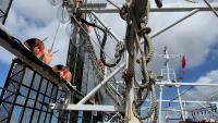 Falklands’ Loligo Fishing Season Suspended For Two Weeks Over Biomass Concerns