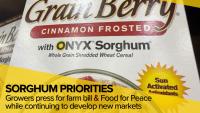 Sorghum Growers Look Beyond Feed Markets to Food, Fuel and Global Hunger Relief