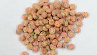 Watchdog to review DEA tactic that allowed fentanyl to hit Albuquerque streets