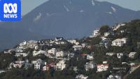 What happens if property prices drop 20pc? Ask New Zealand or Canada