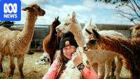 Donkeys, camels and the 'Emu Man' call this 'ghost town' home