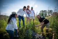 MSU leads multi-institutional study of novel system to improve water quality