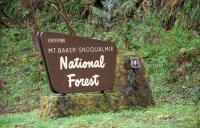 Target shooting temporarily banned in Mt. Baker-Snoqualmie National Forest