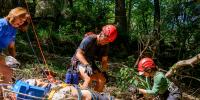 WVSOM receives $25,000 grant from Encova Foundation for wilderness medicine elective rotation