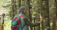 First forest bathing trail in Wisconsin aims for nature immersion and relaxation in Northwoods