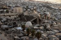 FAO: Only 3 % of Gaza’s agricultural land remains accessible and undamaged