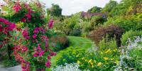 Gardening Experts Are Urging You to Prune These 11 Plants in August—Before It’s Too Late