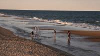 Maryland beach rush hit by Ocean City jellyfish