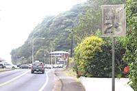Senator calls new raised sidewalks and road signs illegal