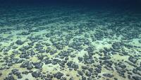 MMA advances potential mineral lease sale off Northern Mariana Islands