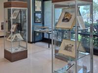 Painting Peace, Place and Possibility Sanford 250 Exhibition Celebrates the Life and Art of Francine Levy