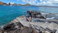 Swimming with Galápagos penguins made my wildlife dreams come true