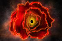 Astronomers may have discovered a new kind of object called a black hole star