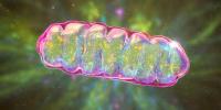 Scientists Uncovered a Hidden Switch Inside Our Cells That Could Slow—or Even Reverse—Aging