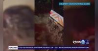 Two Paramedics Trapped by Raging Flood Water Rescued by Hawaii National Guard