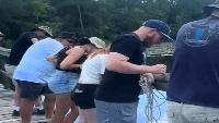 Missouri students get hands-on marine science training at Dauphin Island Sea Lab