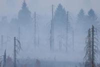 Rain aids fight against record Belgian wildfire as blazes rip through Europe