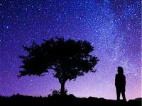 Fringe review: Andrea House goes deep with 650 Light Years Away