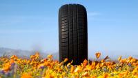 California’s new tire efficiency rules could save drivers $1B a year