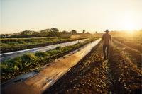 Australia’s escalating biosecurity crisis 